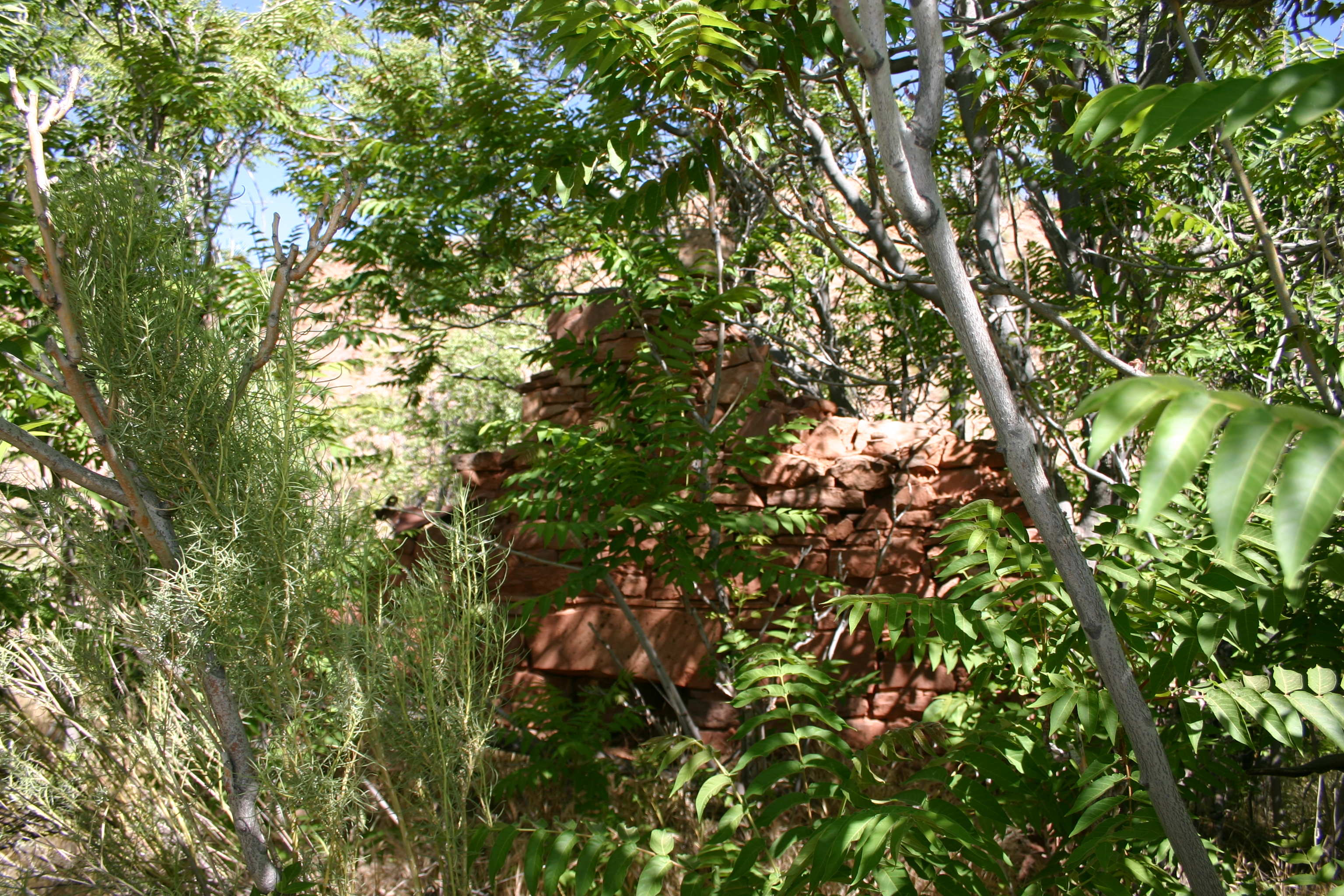 Ruins of the DeMille Rock House in Shunesburg