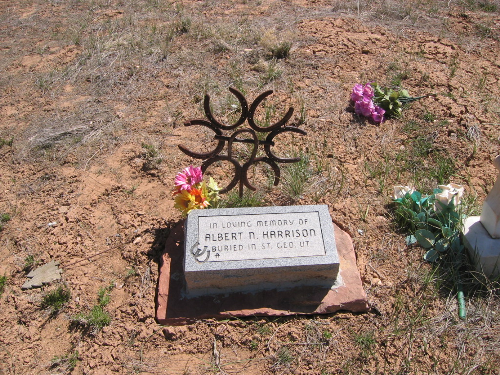 Albert N. Harrison gravestone in the Pinto Cemetery