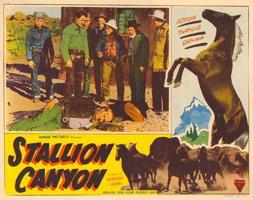 Poster for the Movie, Stallion Canyon