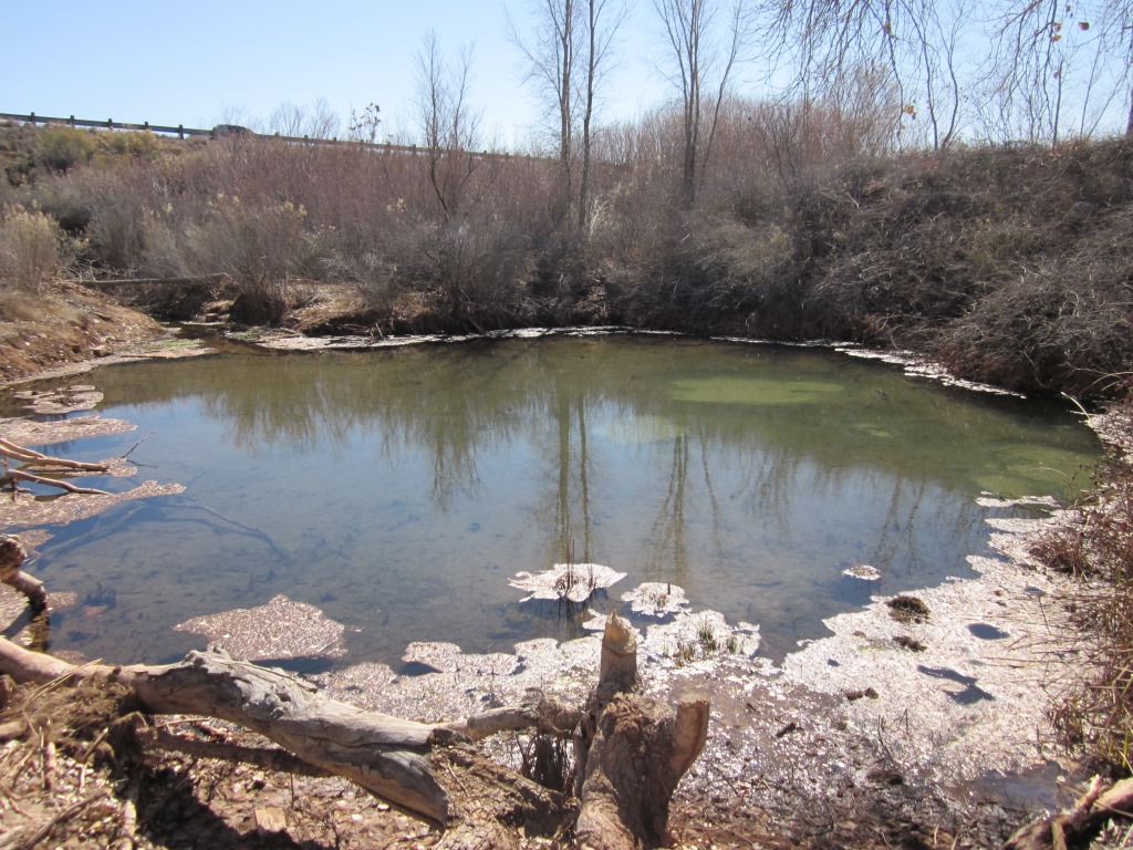 The pond at Warm Springs