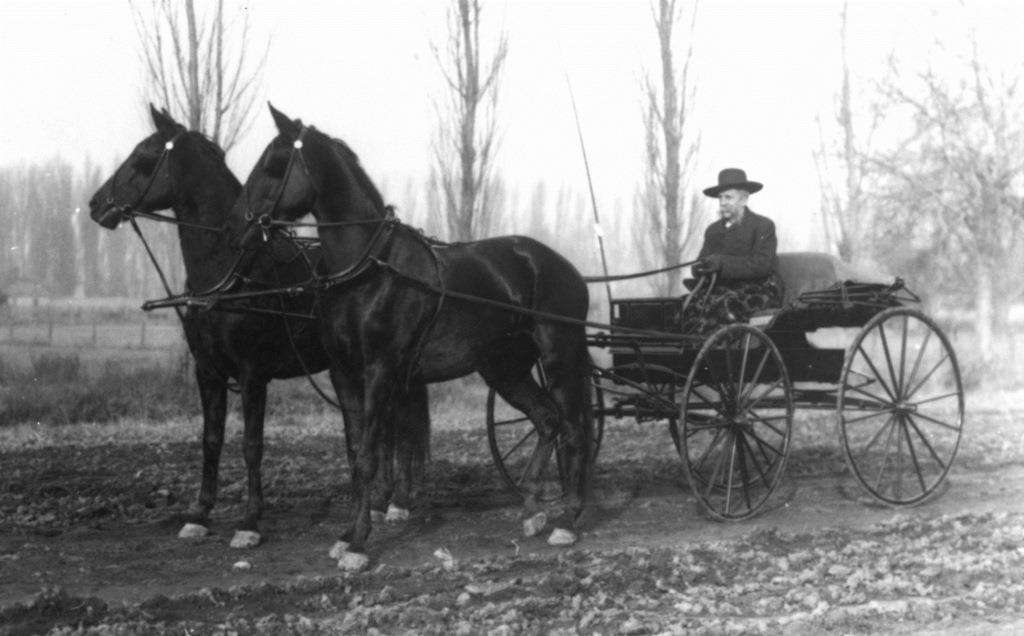 Dr. Silas G. Higgins in carriage