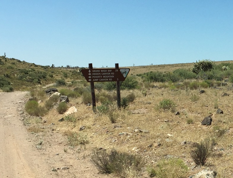 A sign where Nutter Twists Road takes off from BLM Road 1007 on the Arizona Strip