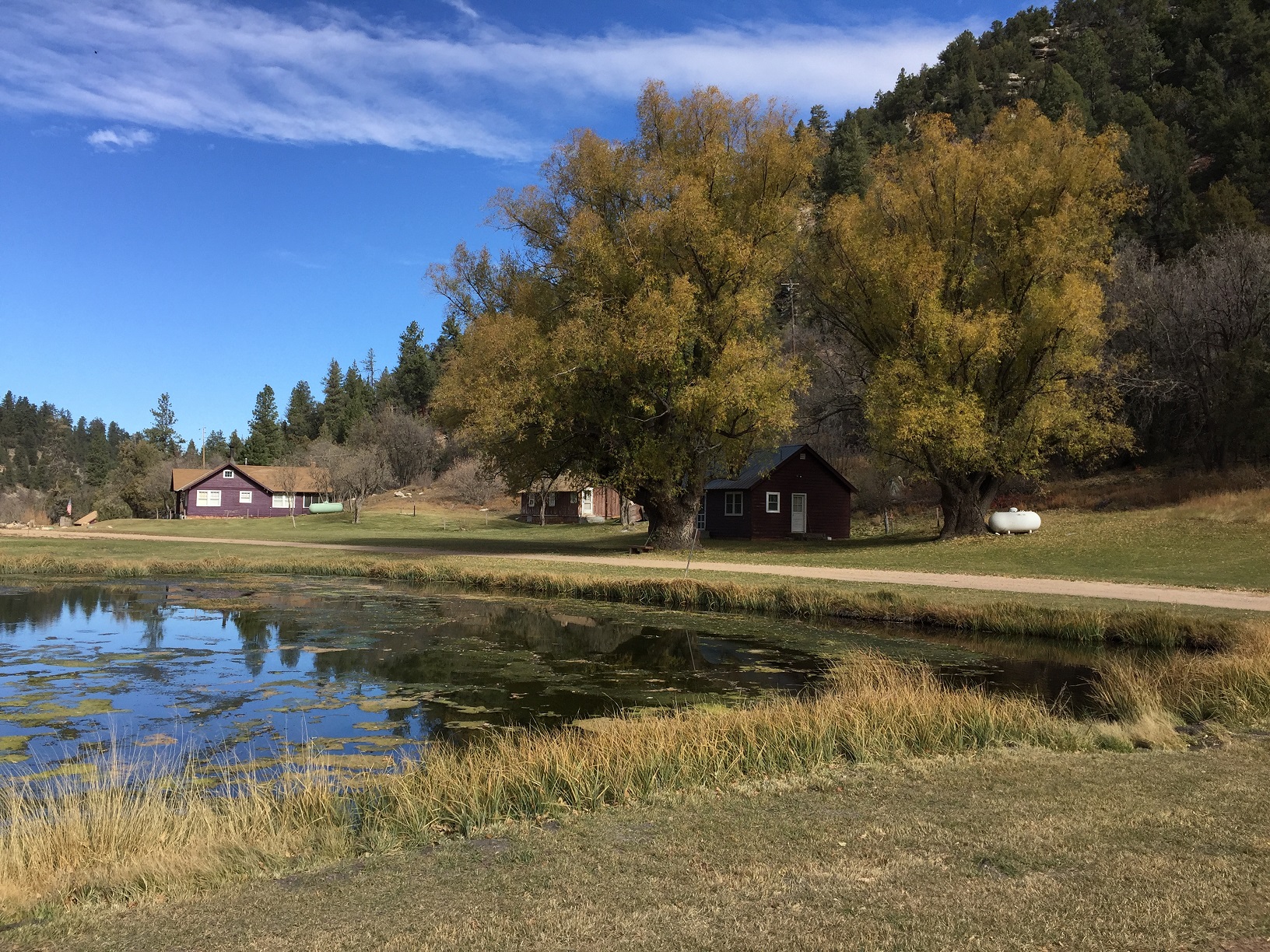 The pond and three buildings at the Big Springs Rental Cabins