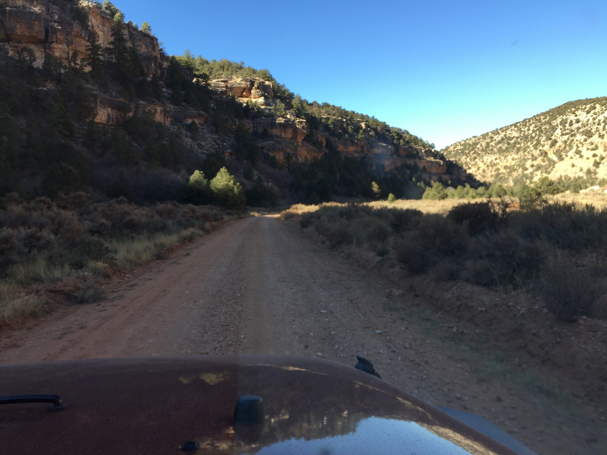 Forest Service Road 423 heading west from Forest Service Road 22