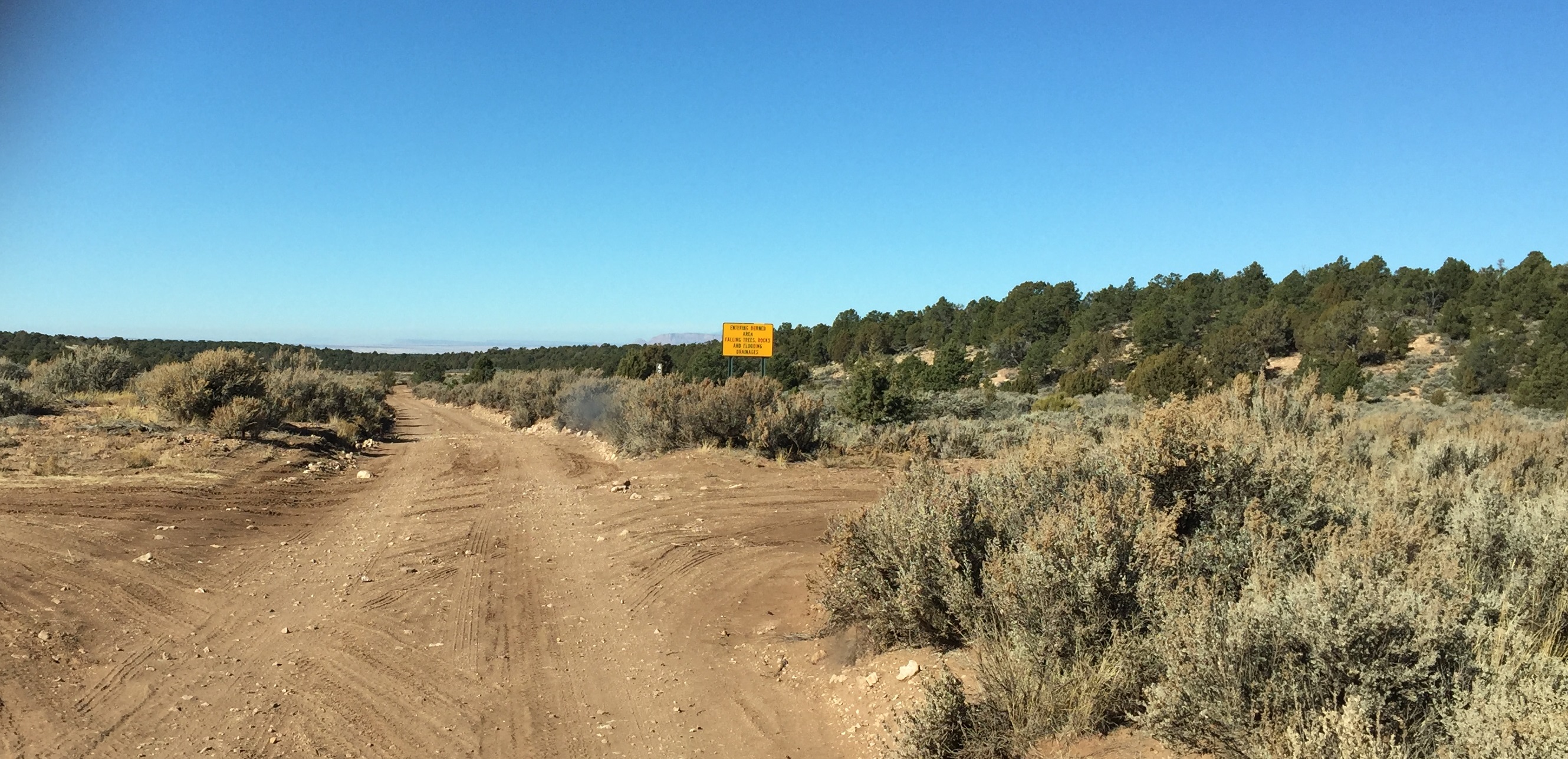 An intersection with a sign along Forest Service Road 423