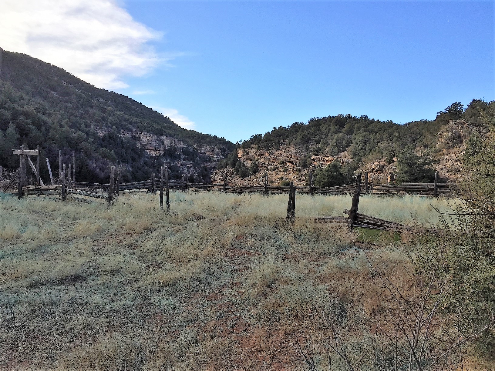 Corral at the junctions of Forest Service Roads 22 and 423