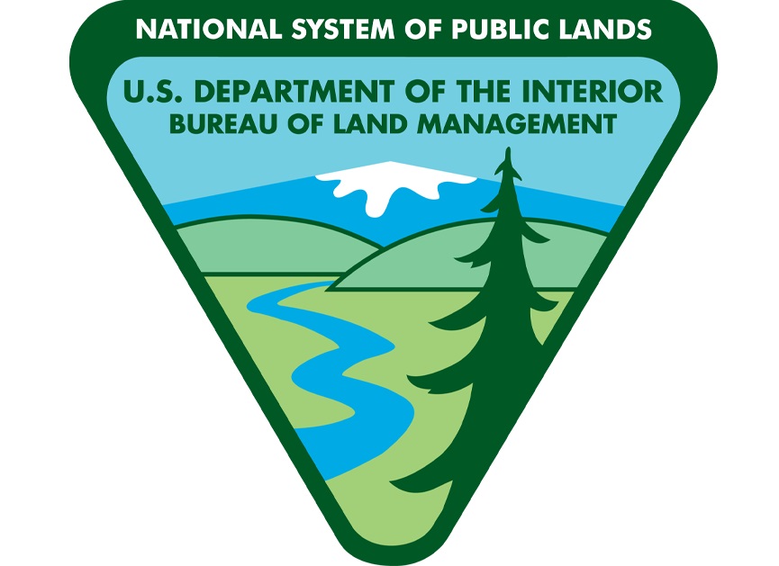 BLM Logo