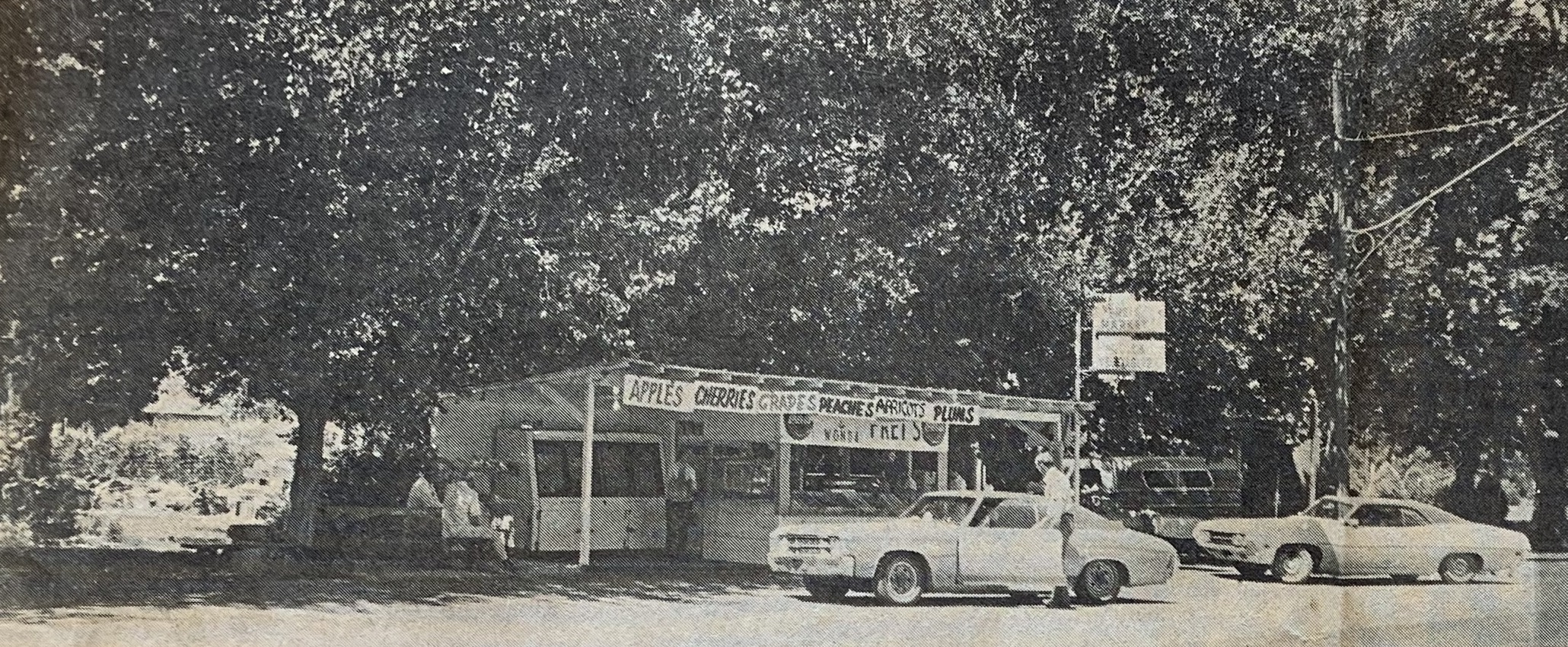 Frei's Fruit Market