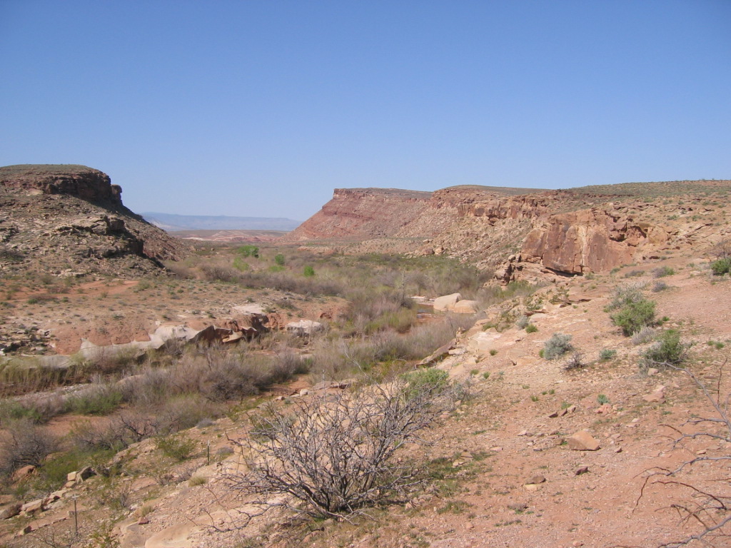 Photo of the Fort Pearce wash