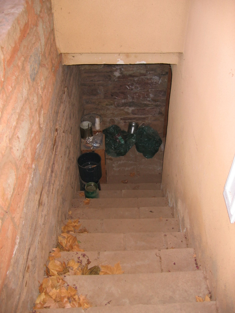 WCHS-00345 Stairs to the Basement Under the Hug-Gubler Home