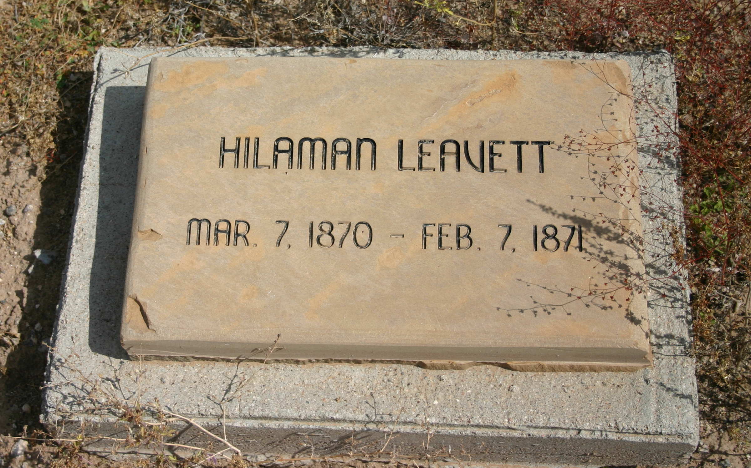 Hilaman Leavett gravestone at the Hebron Cemetery