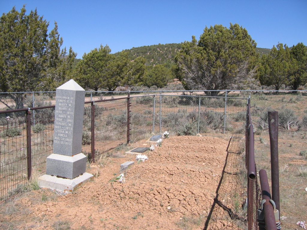 Fenced Knell family plot in the Pinto Cemetery