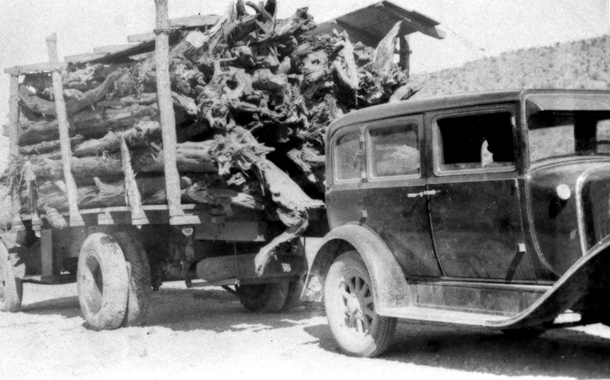 WCHS-01094 Warren Cox's car and one of his old trucks hauling wood