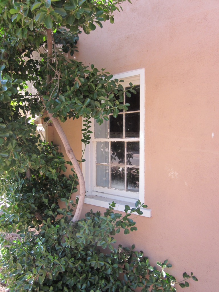 WCHS-01139 A window in the John Stucki home