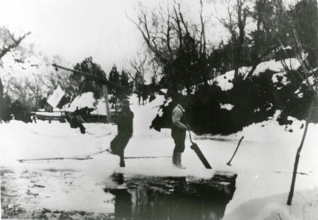 Freeborn Gifford and Lloyd Crawford cutting ice in Zion Canyon
