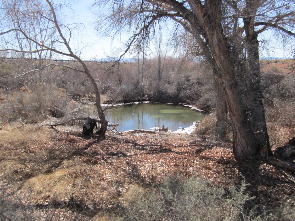 The pond at Warm Springs