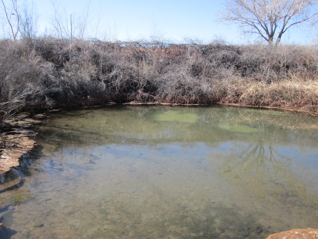 The pond at Warm Springs