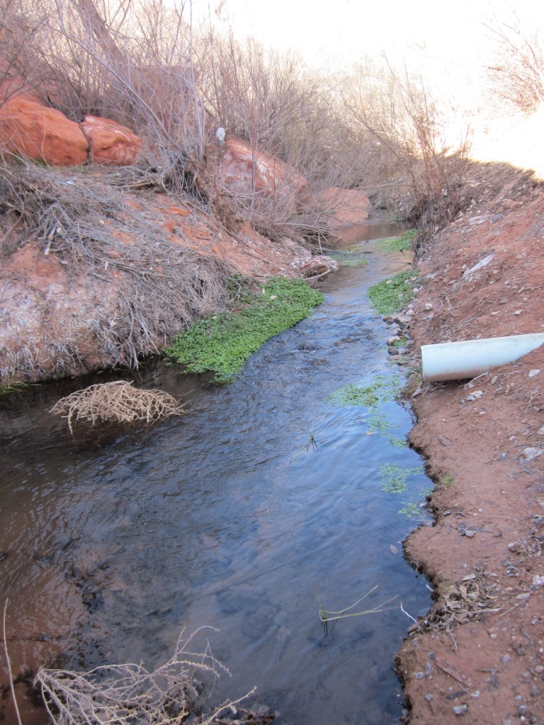 Stream in Millcreek Canyon