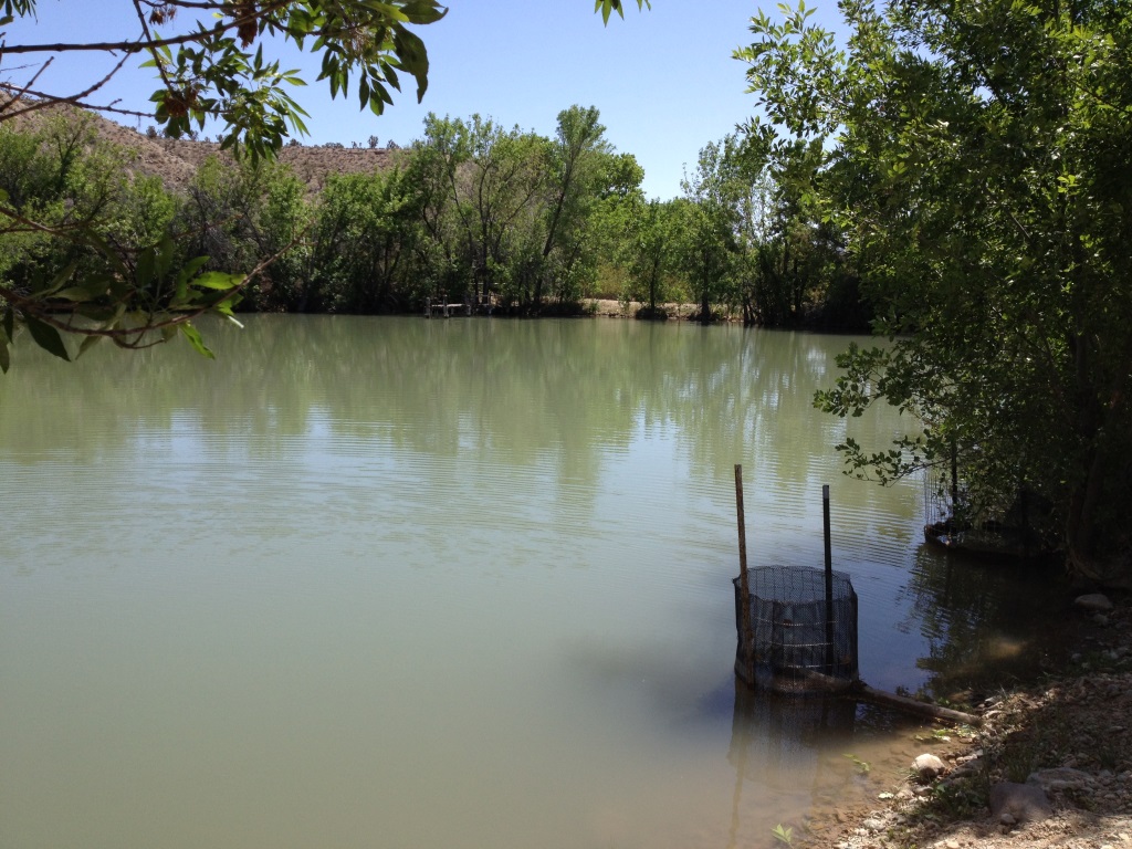Pond at the Lytle Ranch