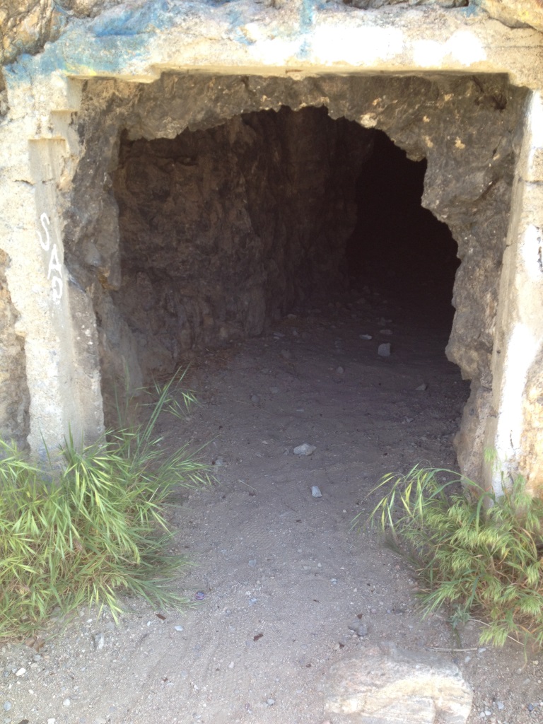 A tunnel where the old Castle Cliff Station used to be