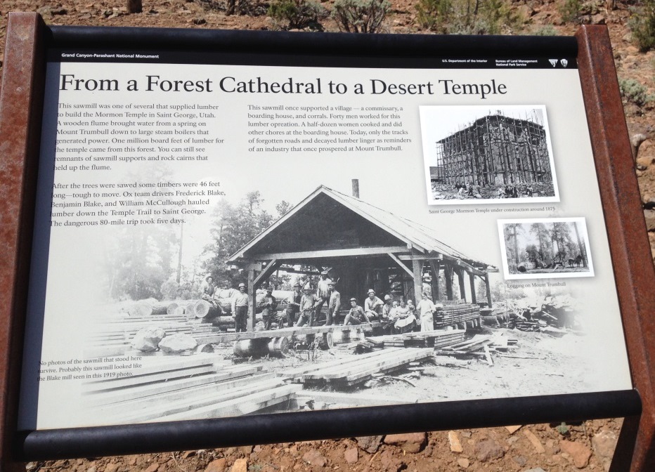 GC-PNM plaque: From a Forest Cathedral to a Desert Temple