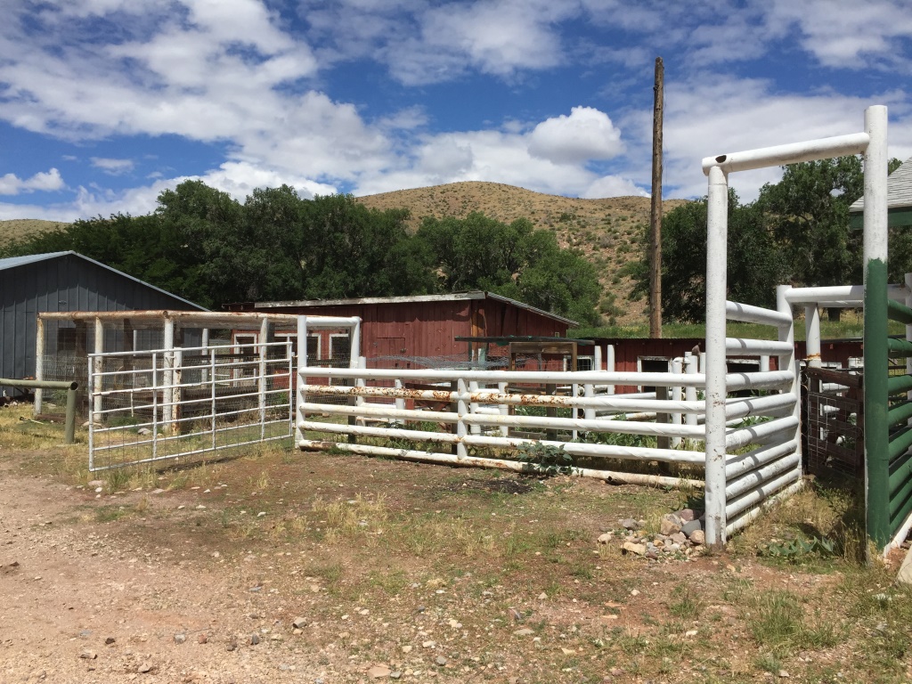 Chicken pen (left) and pig pen (right) at the DI Ranch