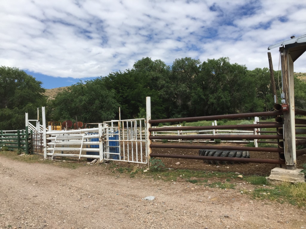 Some corrals at the DI Ranch