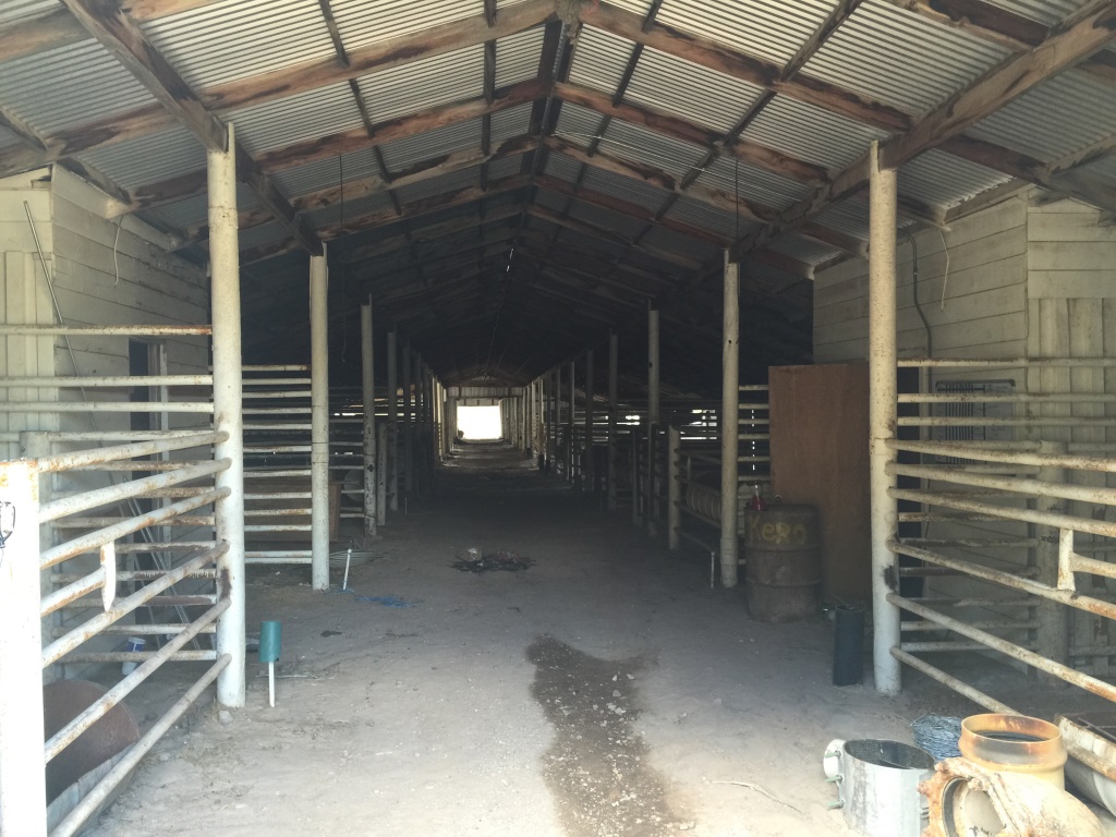 Inside of the horse barn at the DI Ranch