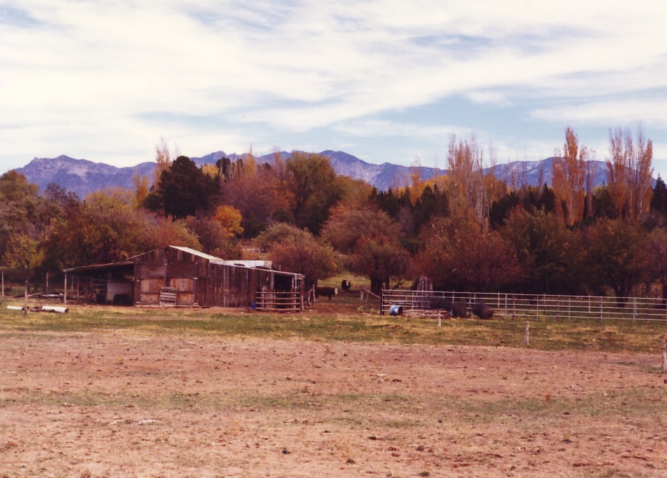 A barn owned by Sherman Chadburn and originally part of Fred Chadburn's orchard