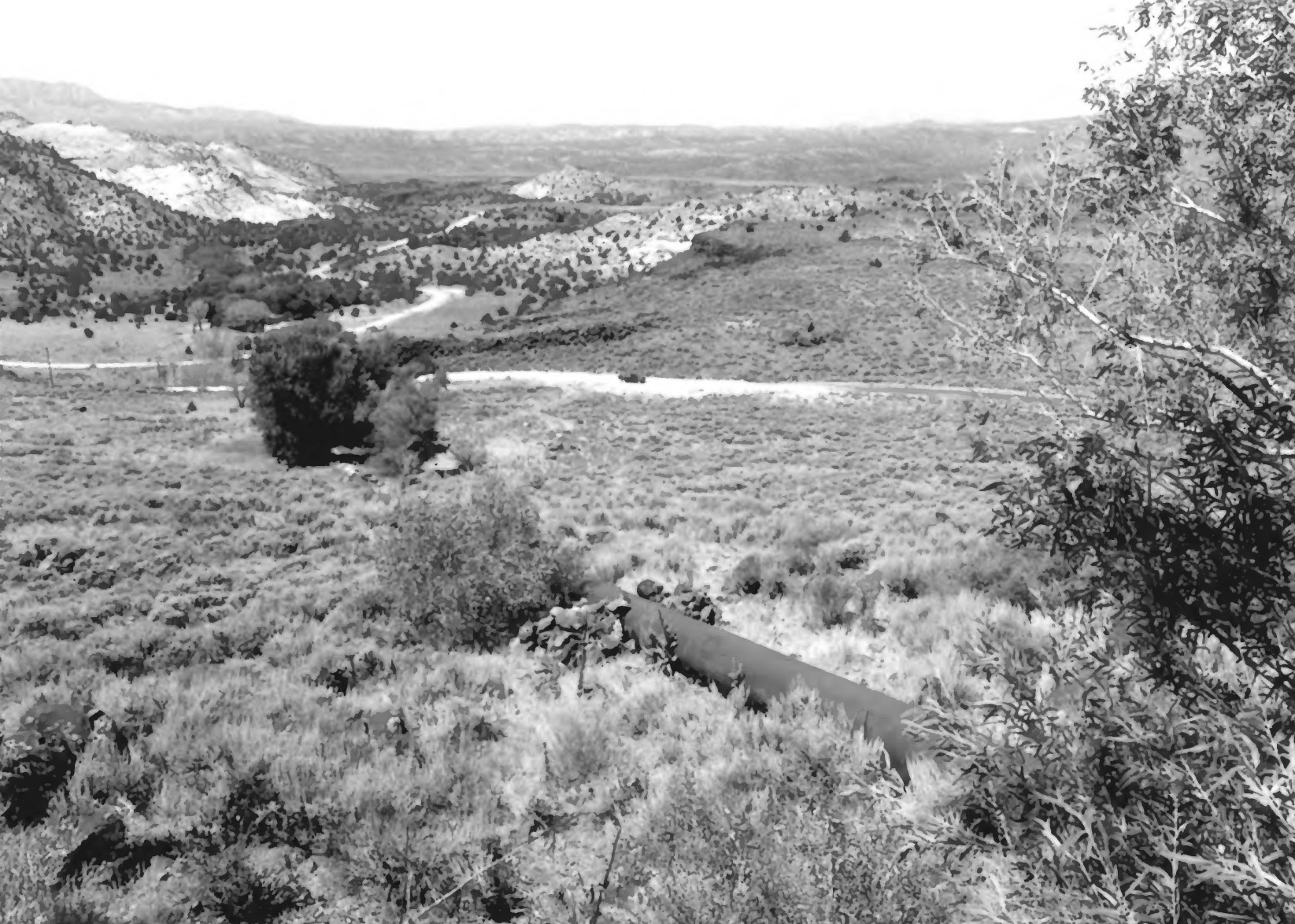 The pipeline running down to the Sand Cove Hydroelectric Power Plant