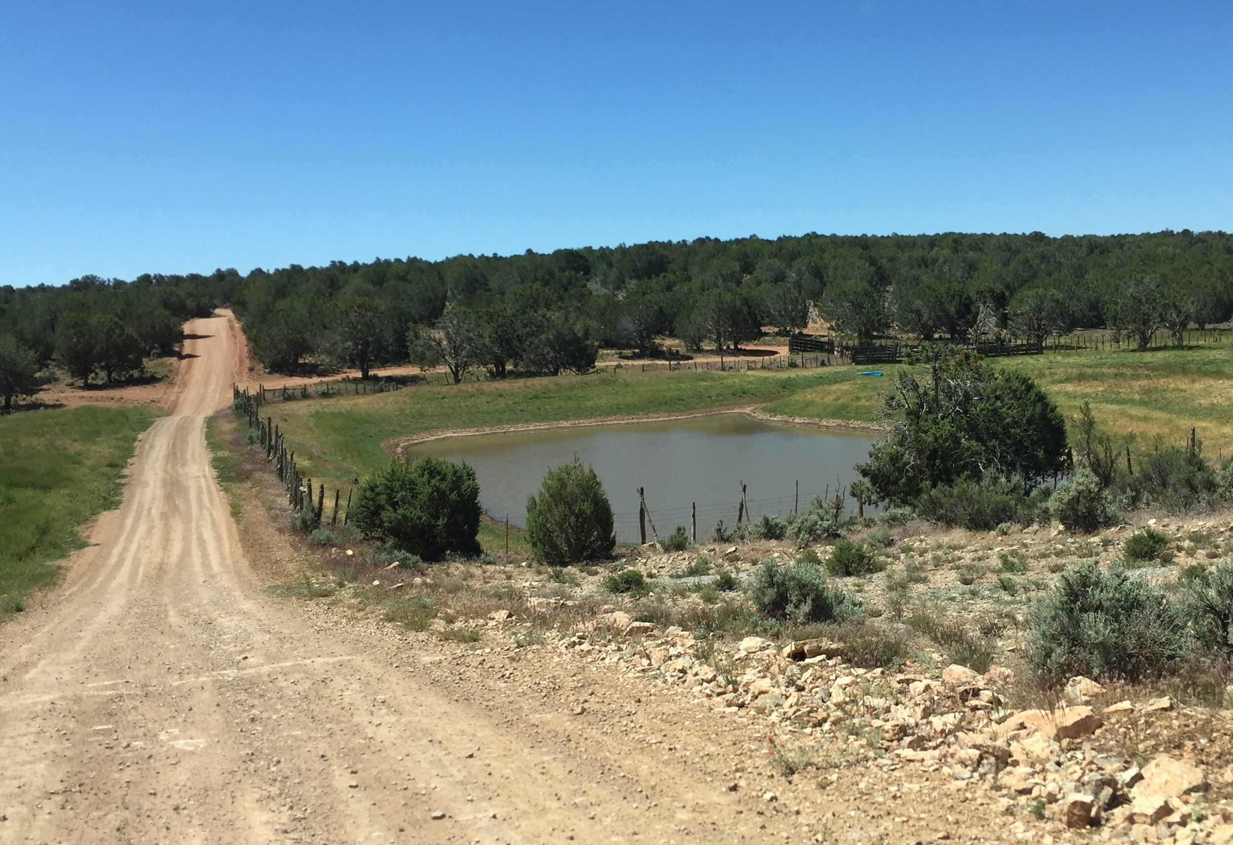 Diamond Butte