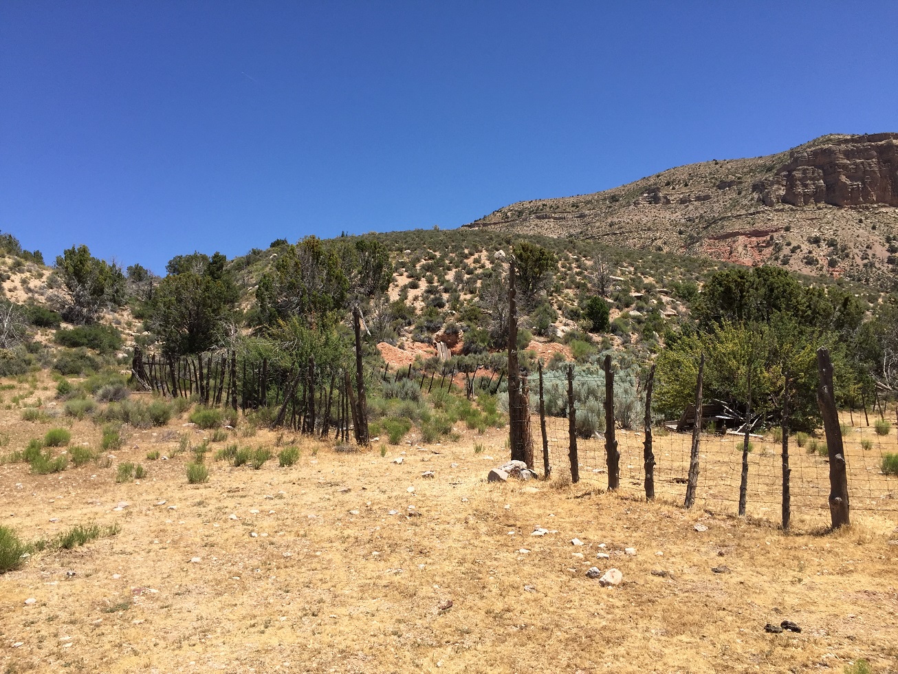 Fenced area and spring on the Wildcat Ranch