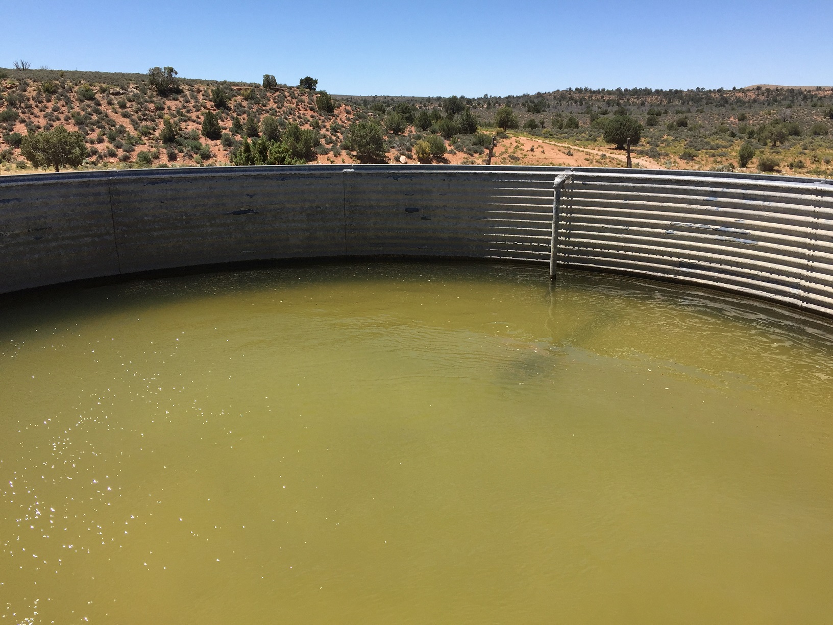 Inside of a water tank on the Wildcat Ranch