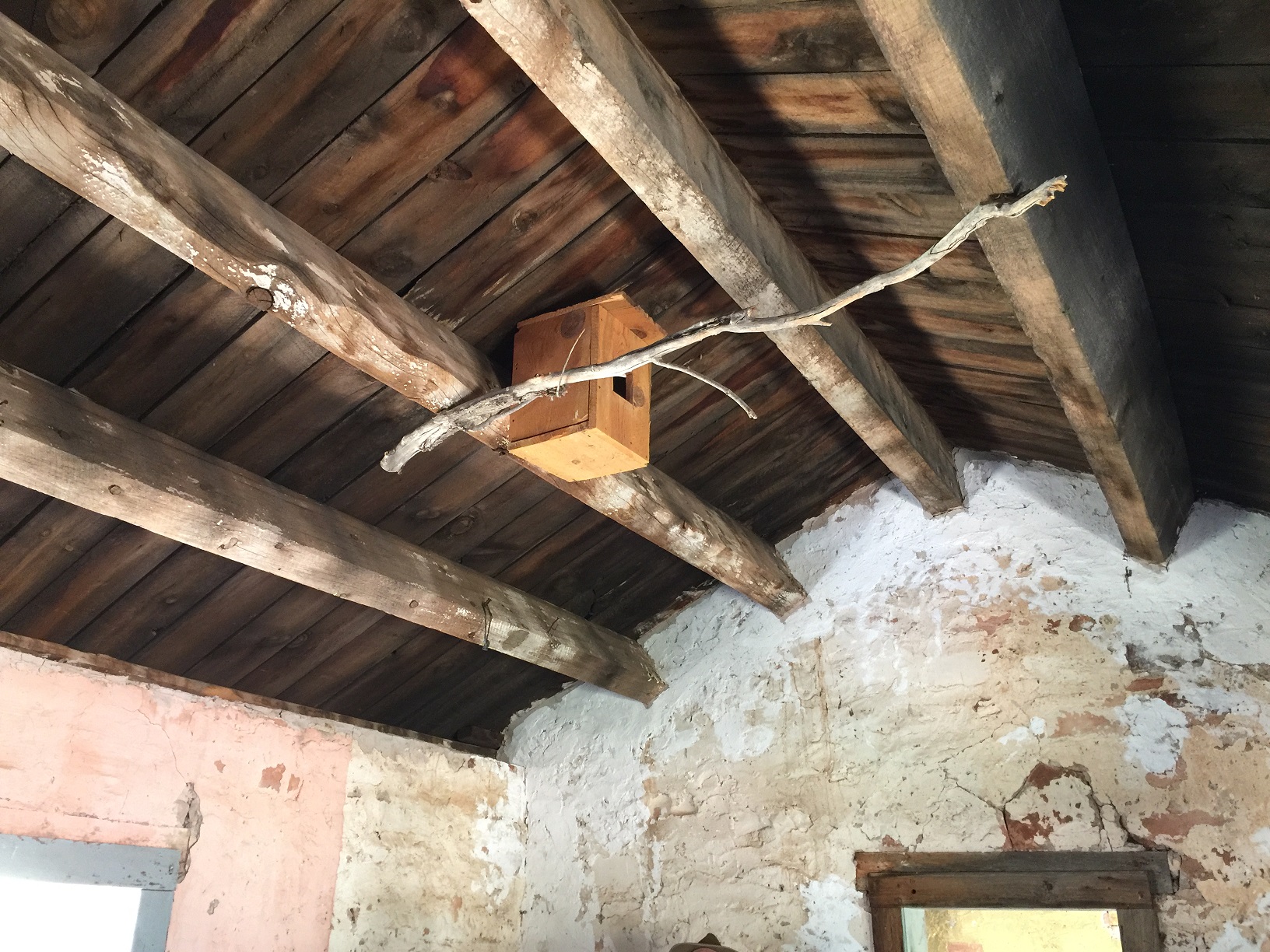 Birdhouse in the bunkhouse at the Grand Gulch Mine