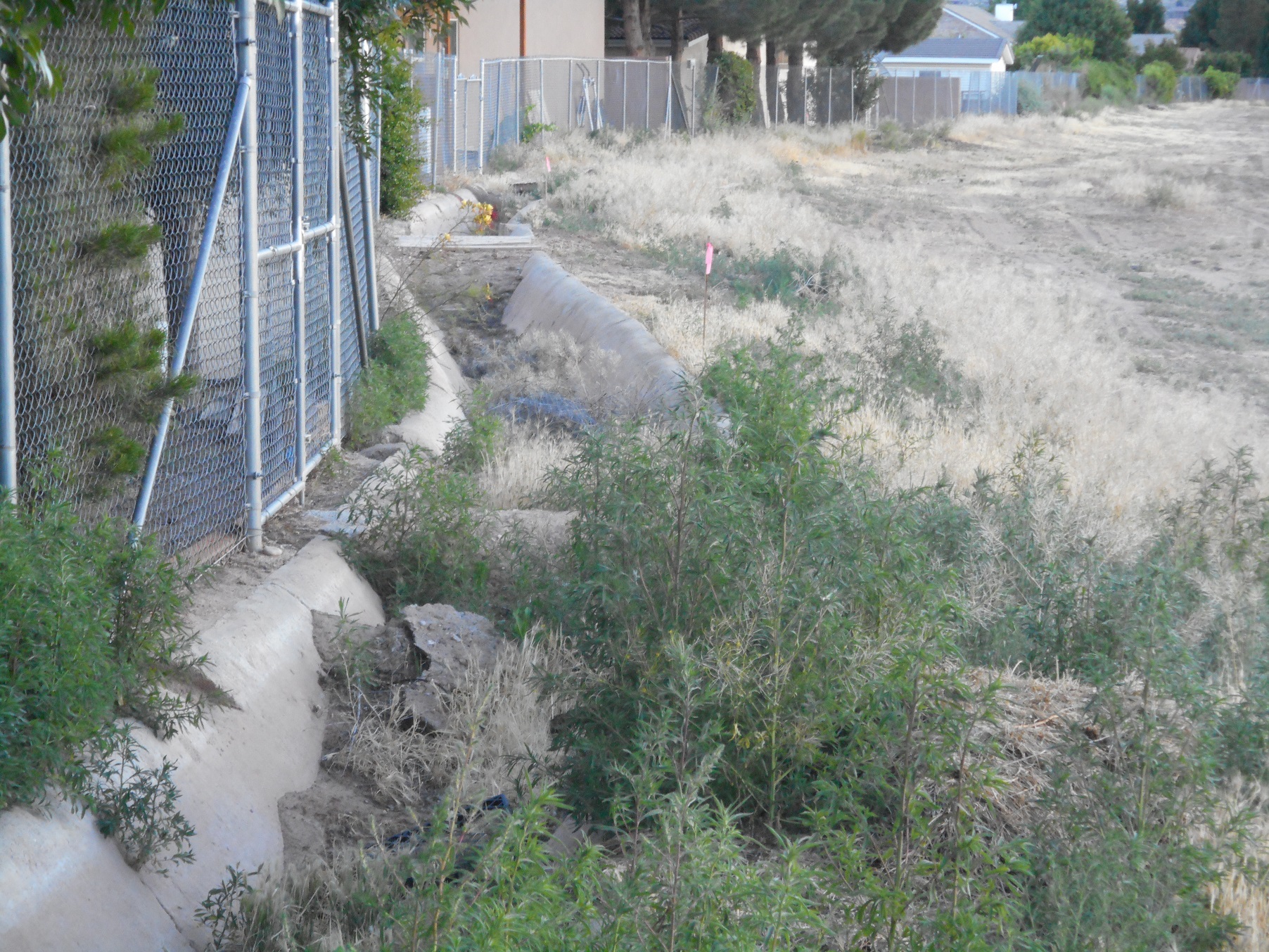 Cement lined ditch on the edge of the Foster Farm property