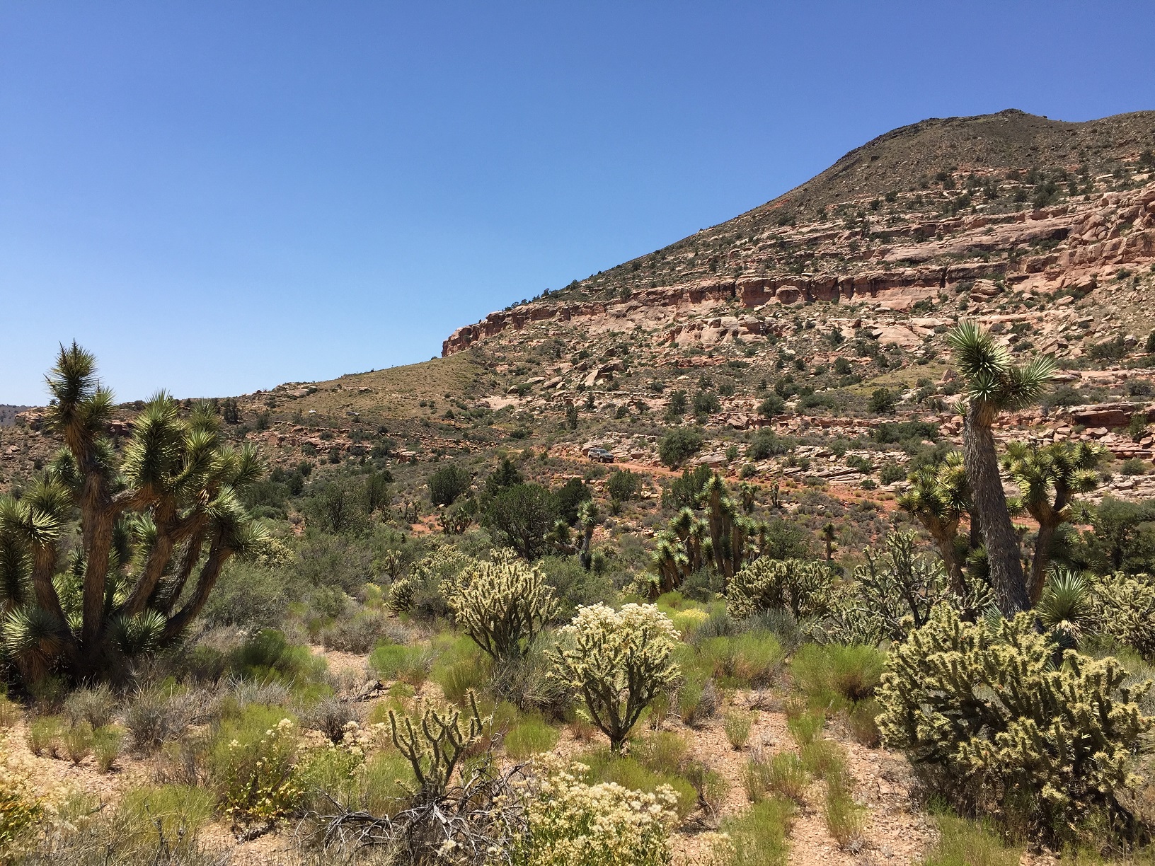 A car in the distance coming down Nutter Twist Road on the Arizona Strip