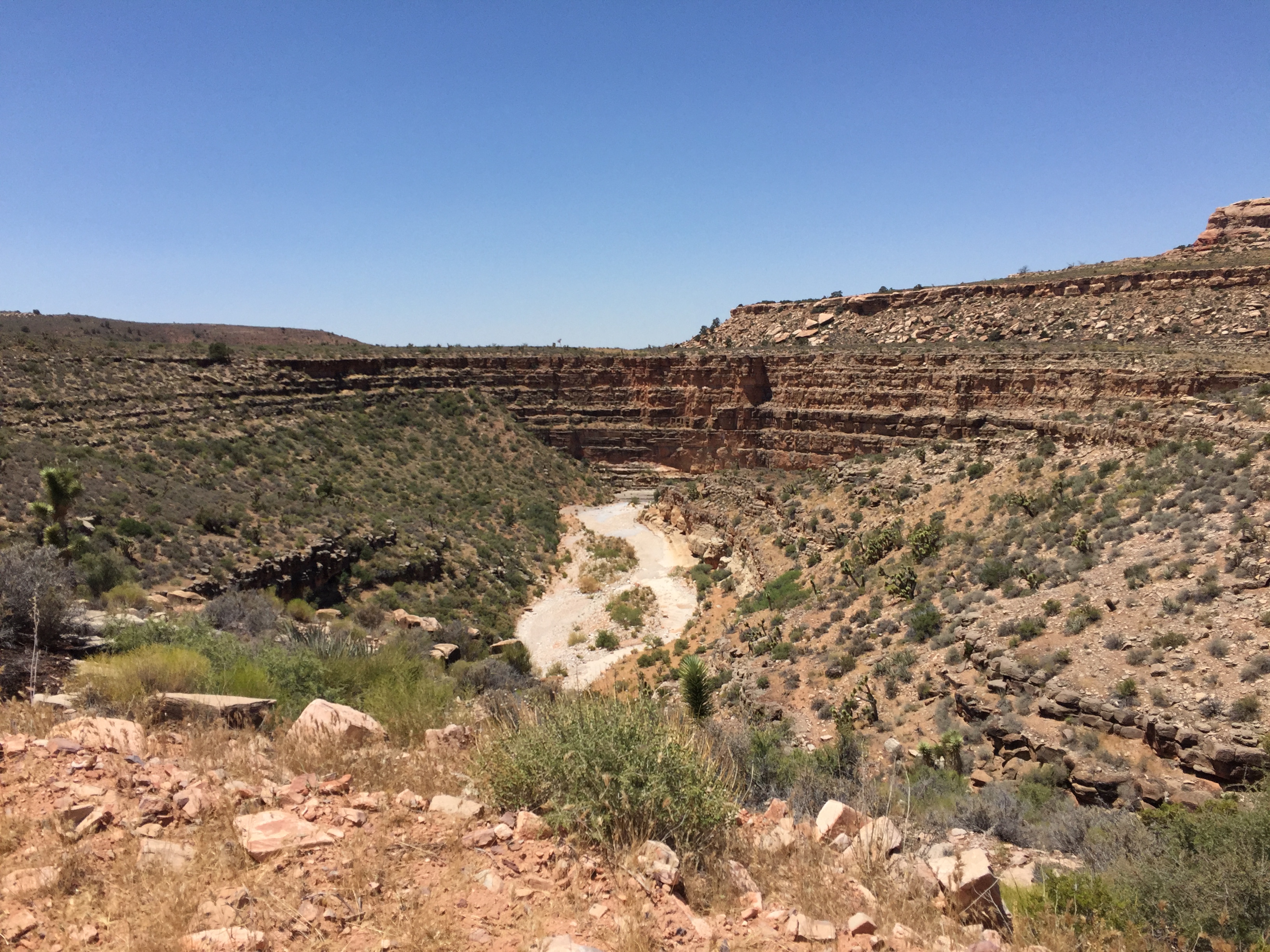 An interesting canyon on the Arizona Strip