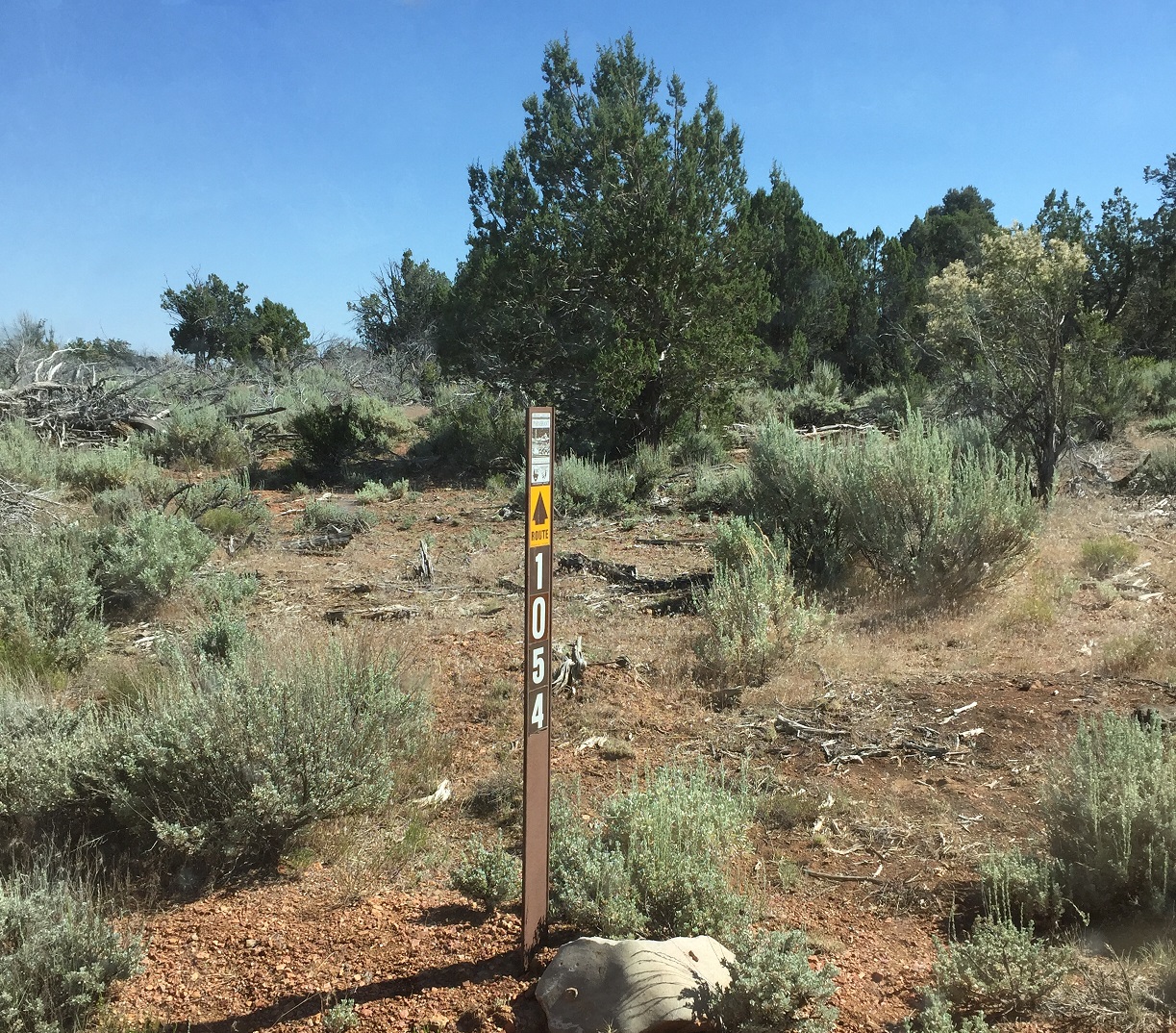 A BLM Road 1054 marker on the Arizona Strip