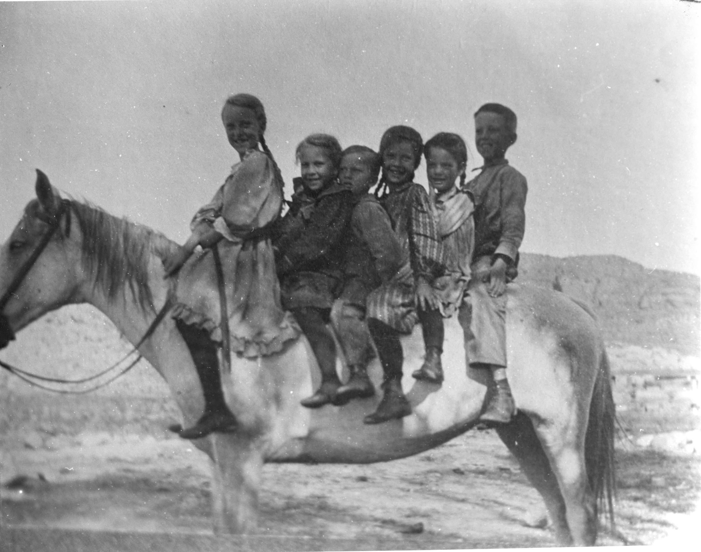 Six children on a horse, probably late 1800s or early 1900s