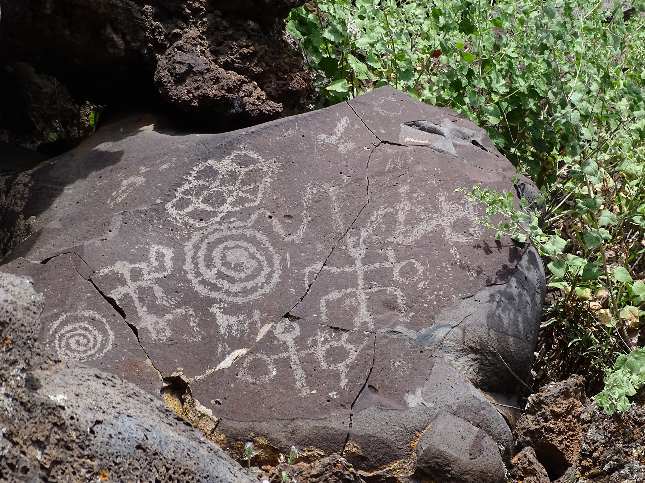 Some petroglyphs at Nampaweap on the Arizona Strip