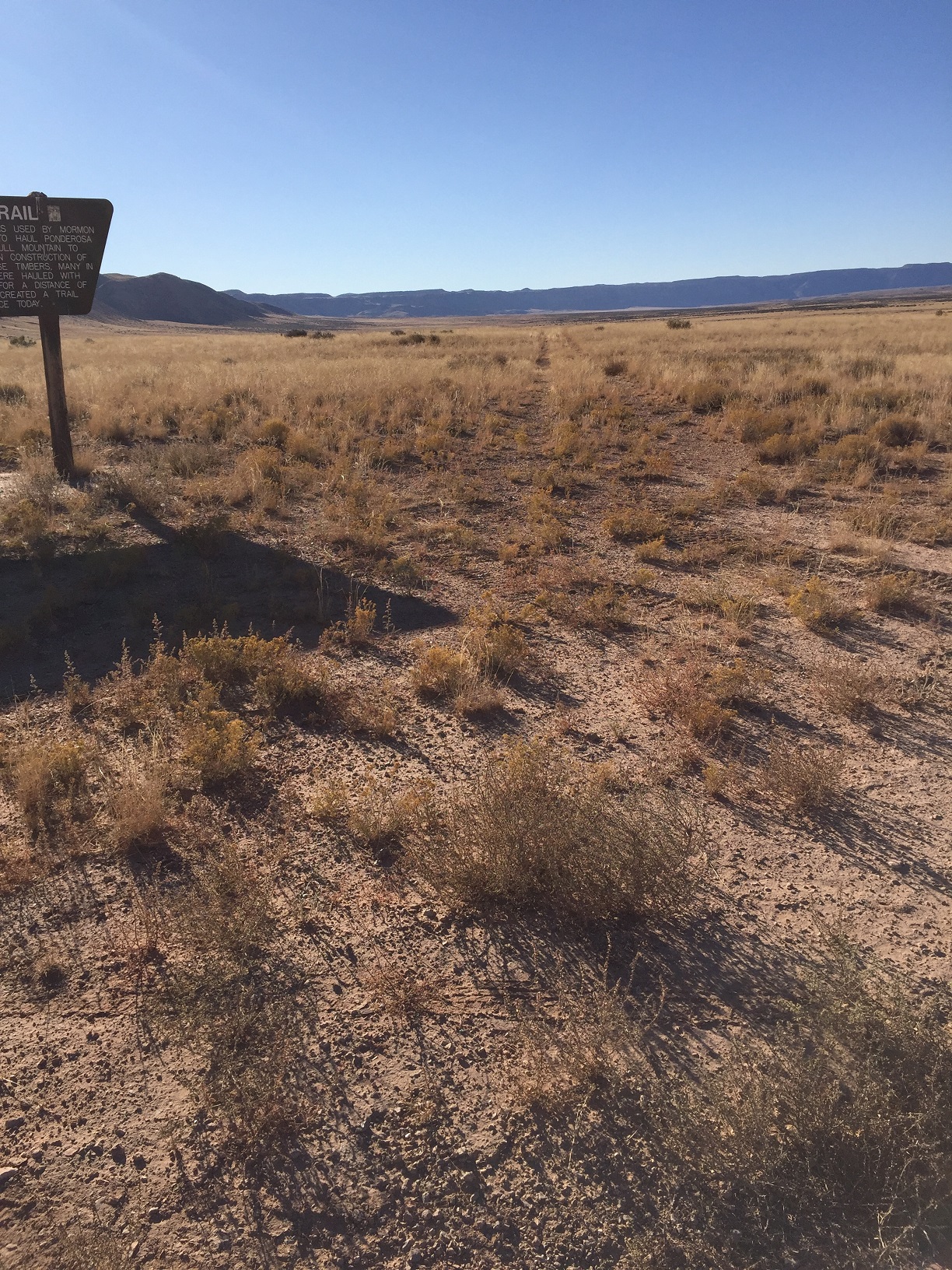 Temple Trail heading southsoutheast from the Navajo Trail