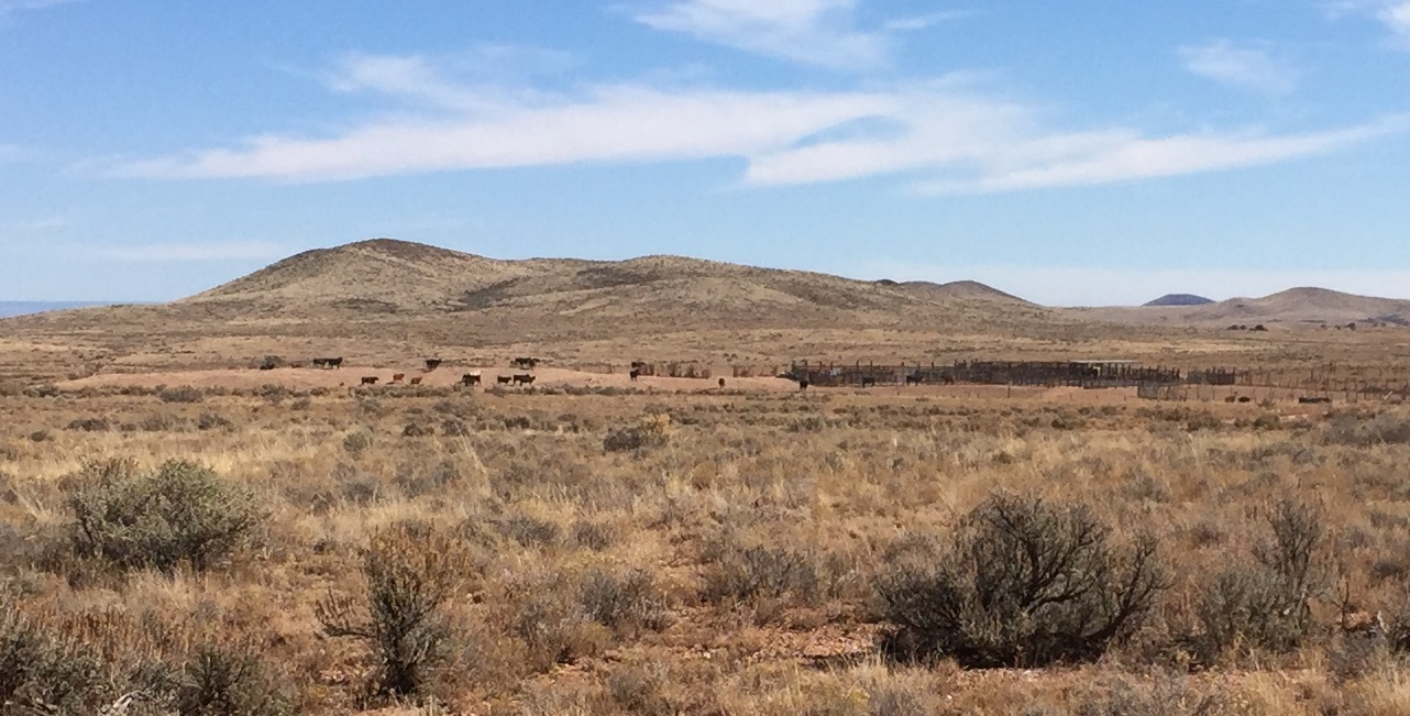 Temple Trail Tank and associated corrals