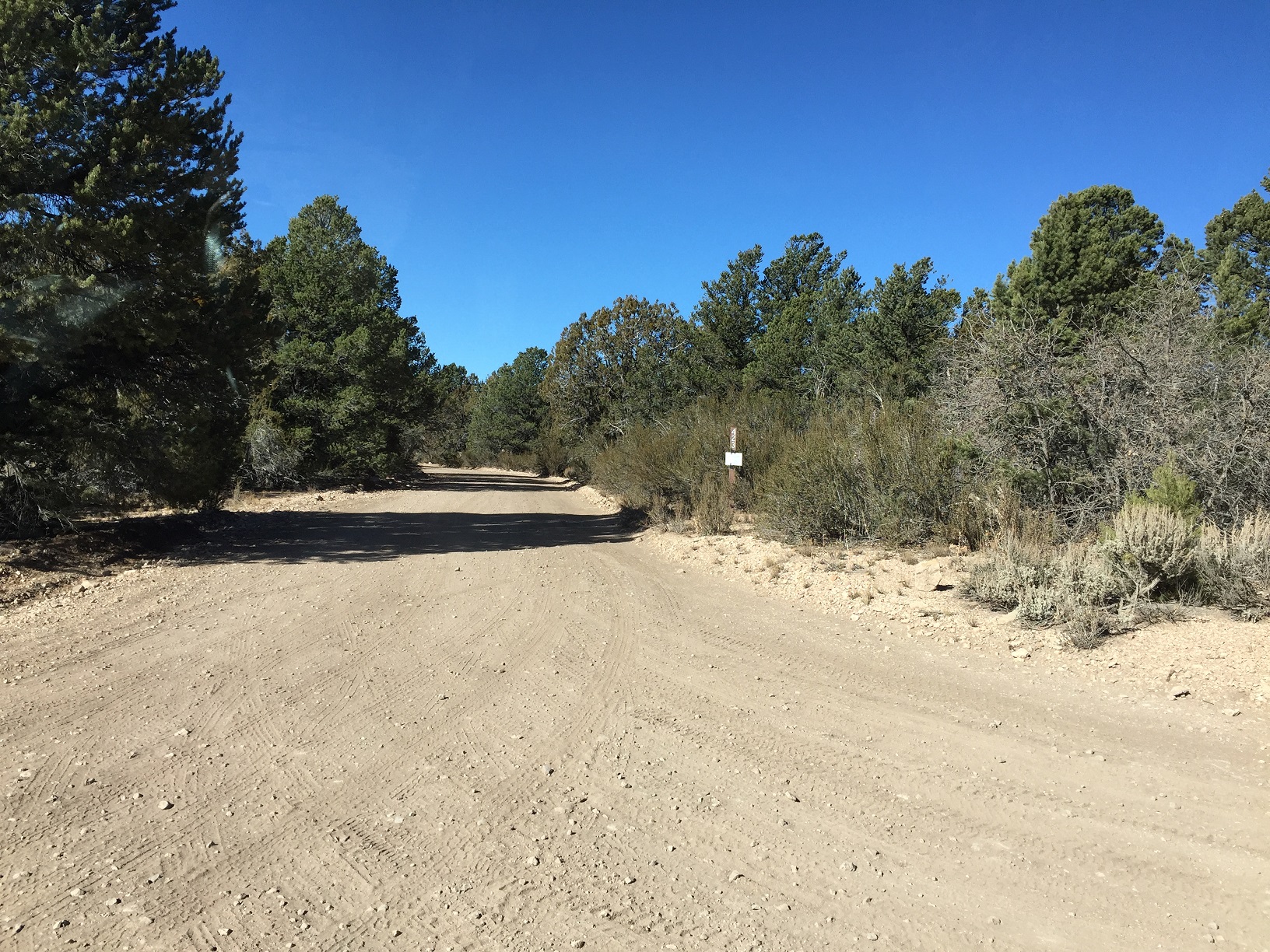 Forest Service Road 423 after a sharp turn toward the northwest