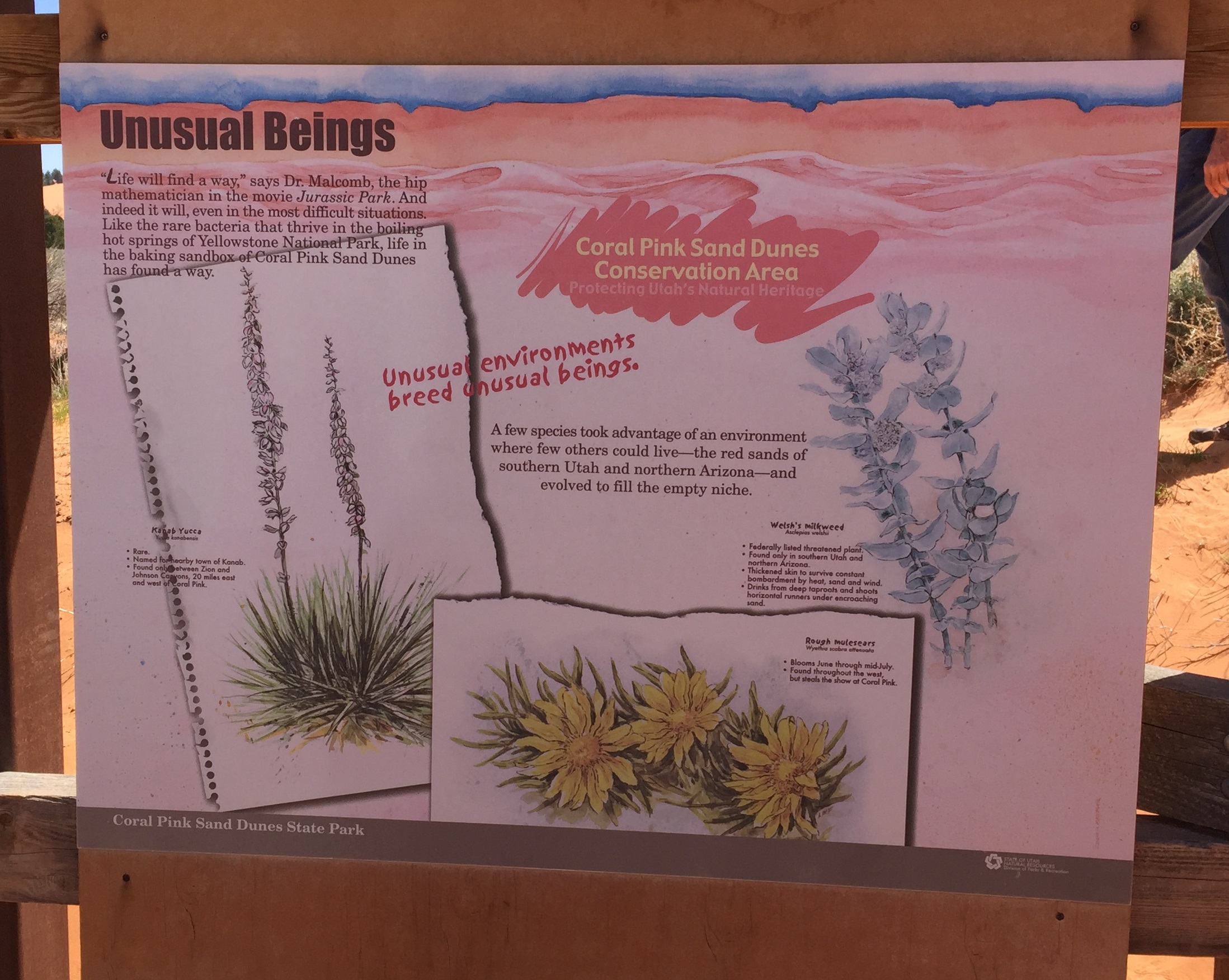 Interpretive sign at the Coral Pink Sand Dunes State Park