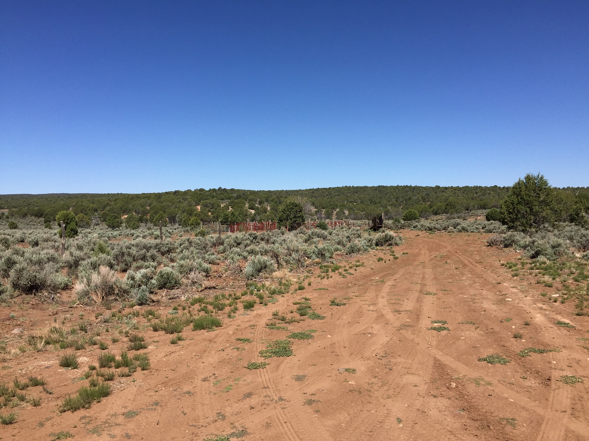 An old road with a relatively new corral and cattle loading ramp