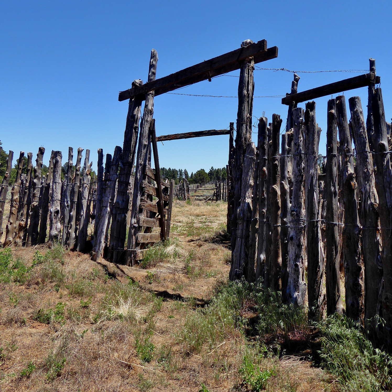 The corrals at the Jonathan & Mary Waring cabin