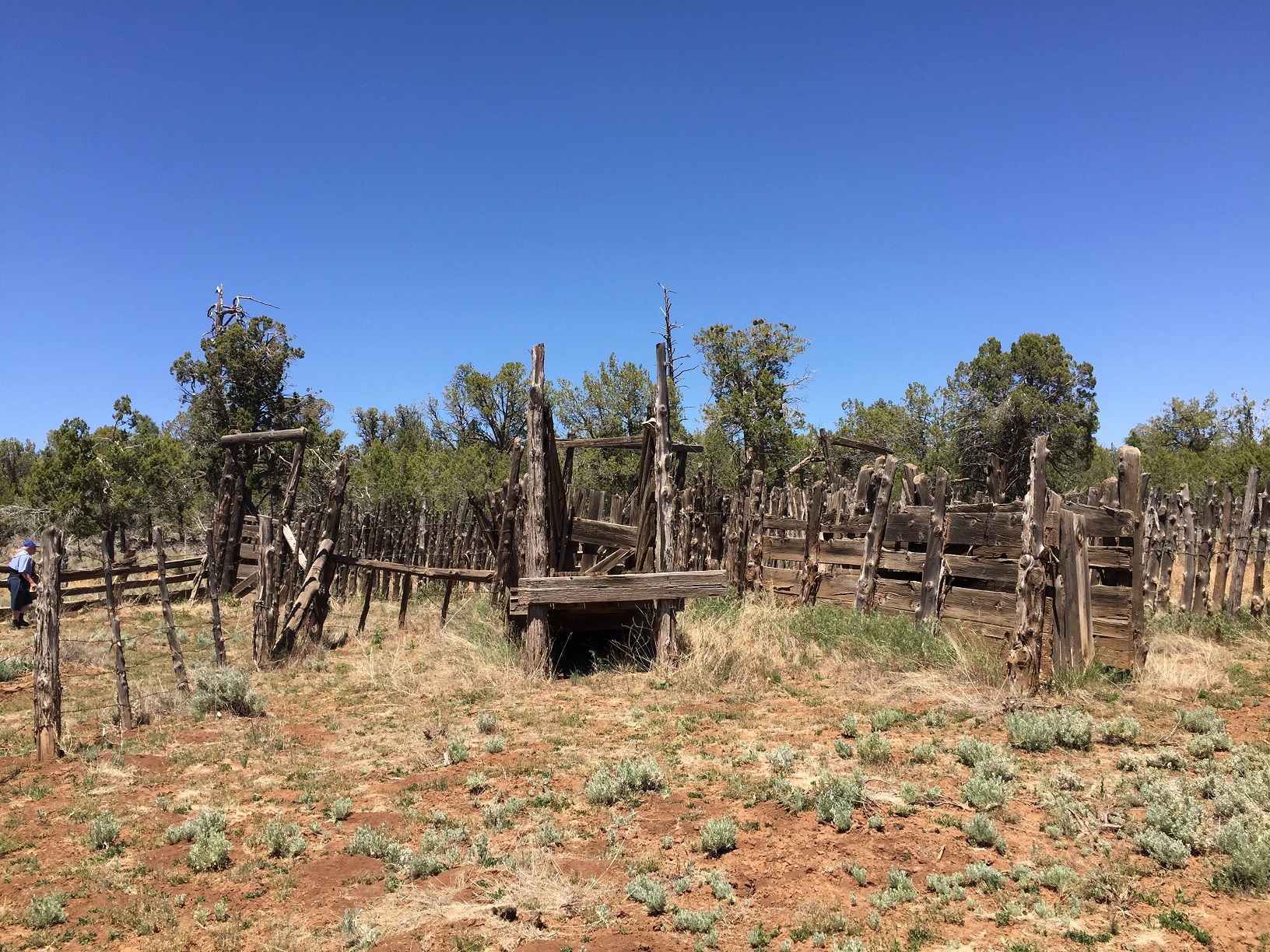 The corrals at the Jonathan & Mary Waring cabin