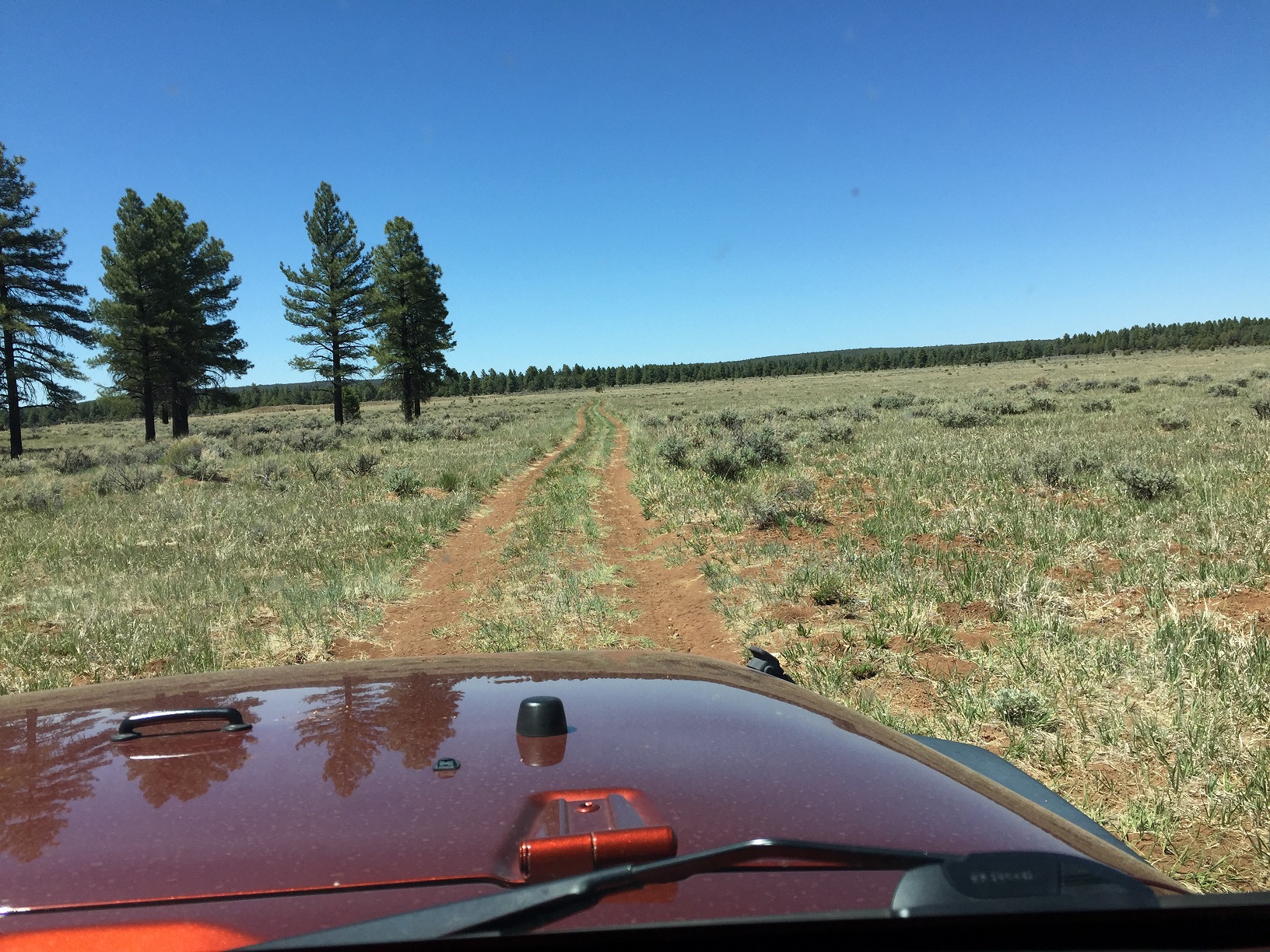 Access road leaving Mohave County Road 103 toward the Pine Cabin