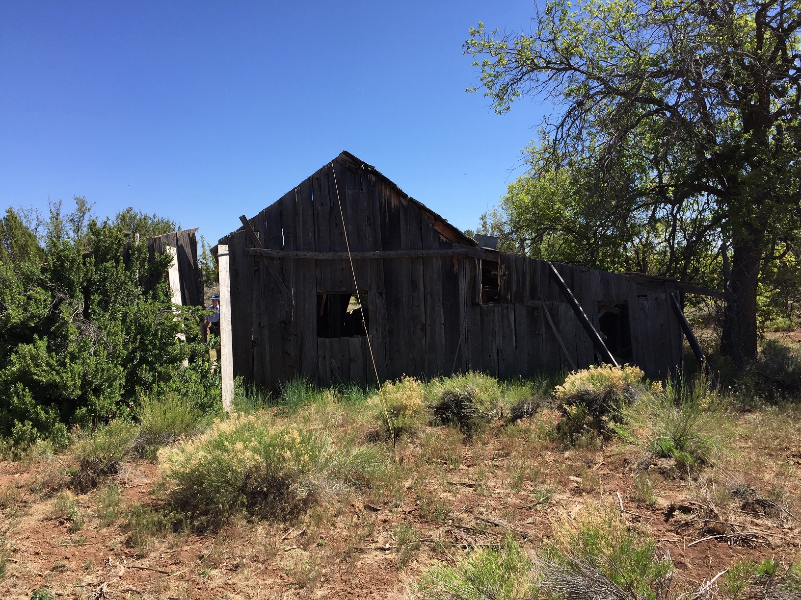 Remains of the old building at Oak Grove on the Arizona Strip