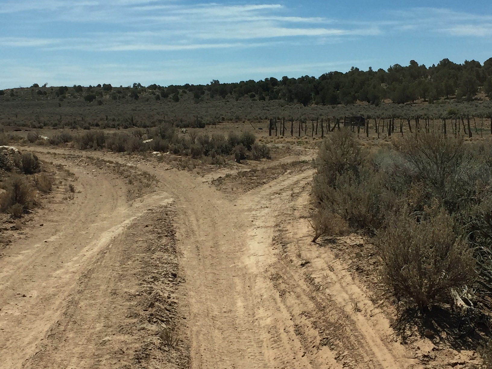 A turnoff into a corral area on the Arizona Strip